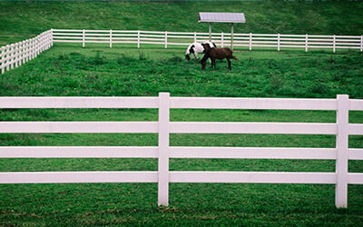 We specialize in acreages, farmland, rural properties, and small town residential properties