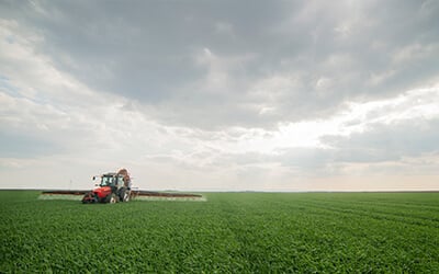 Since 1978, we have been conducting all types of auctions including Farm Machinery, Farmland, Estate & household, Antique, Business liquidation and Benefit & Fund raising
