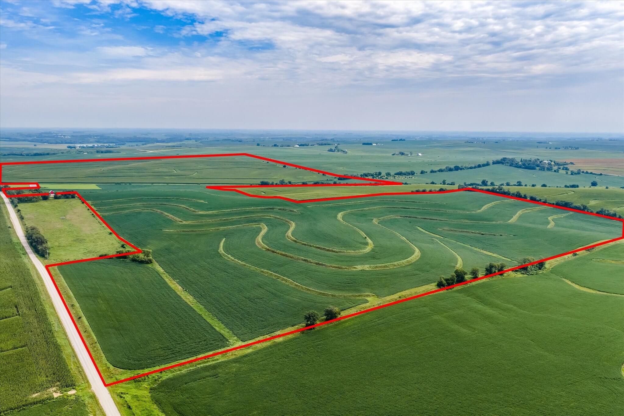 Casson Live Farmland Auction Primary