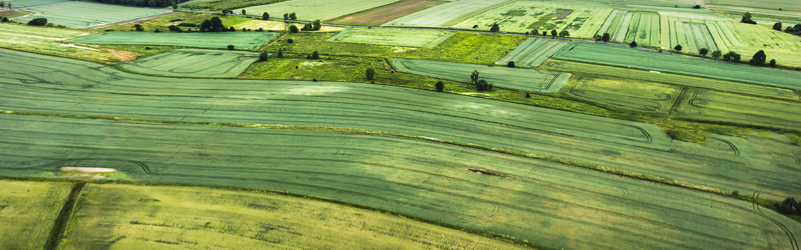 Menke Auction & Realty Treynor, IA Acreages, farmland, rural