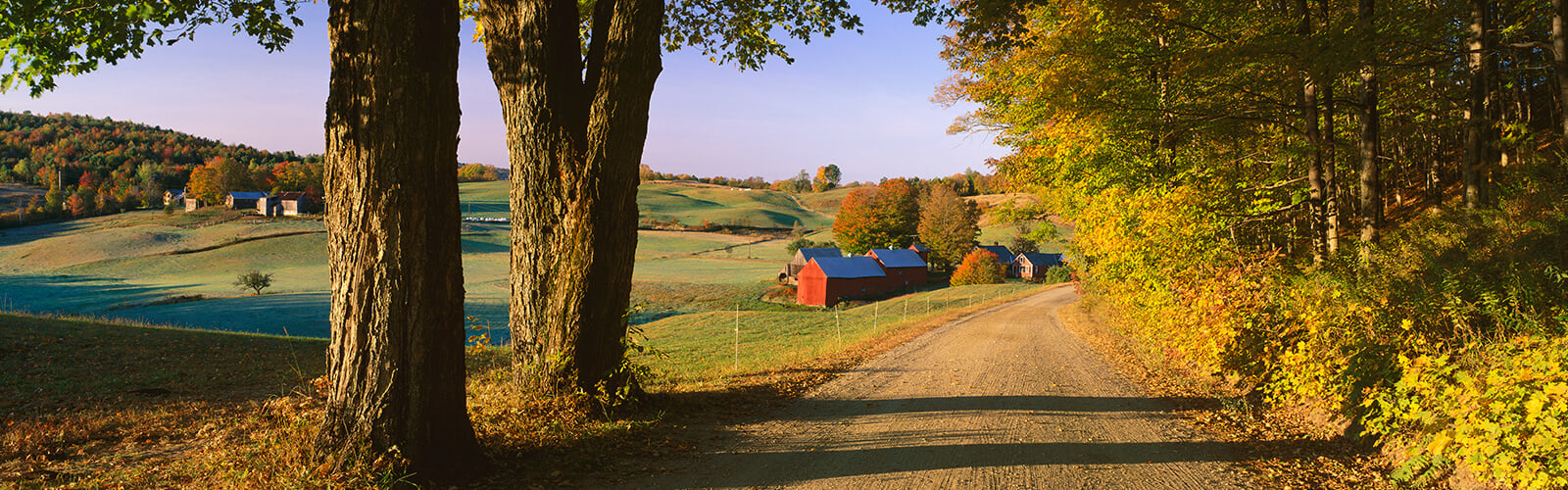 Farm Property Auctions - House and barn