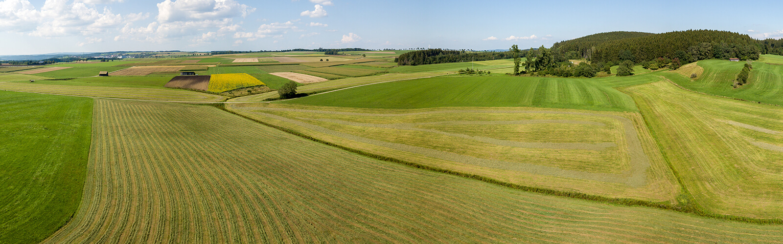 Farmland Auctions - Hay fields